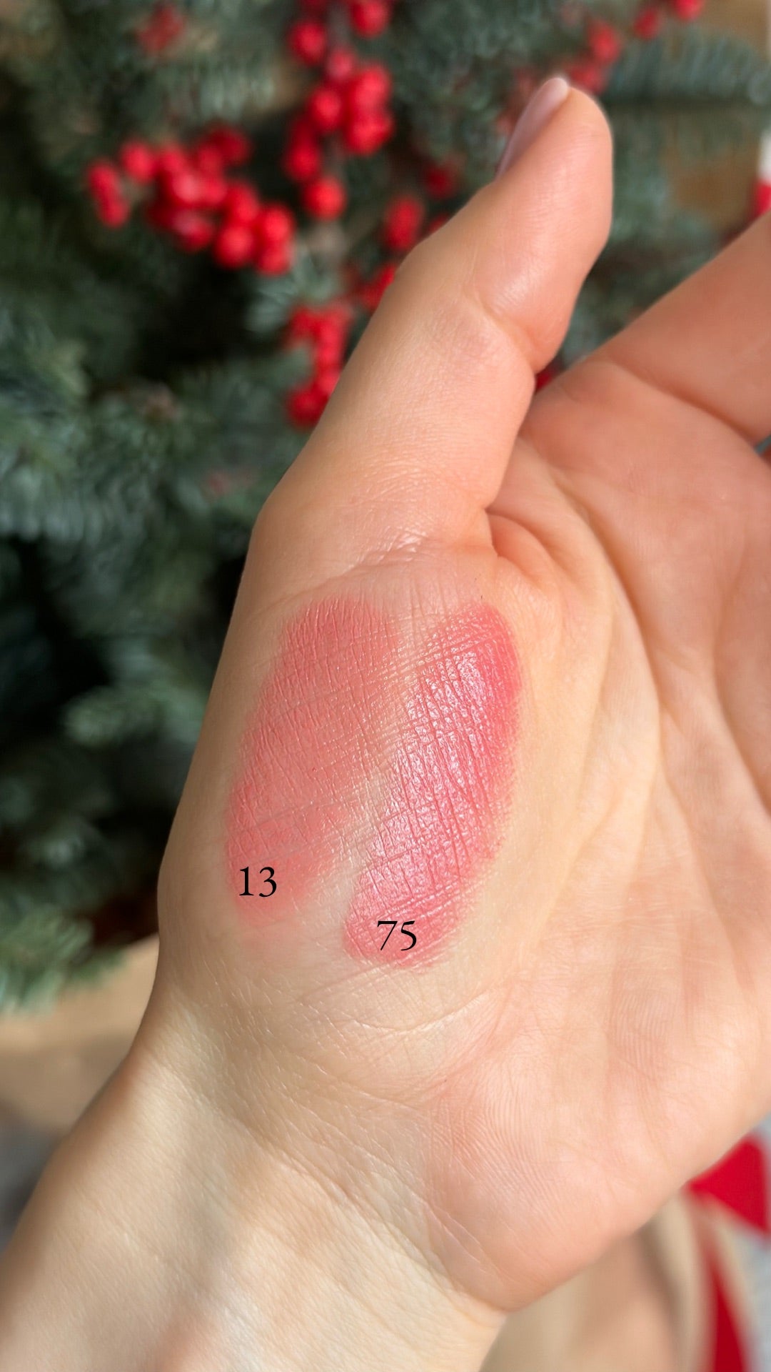 Зволожуюча помада з аргановою олією Paese Satin Lipstick Argan Oil